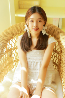 新艺妓传